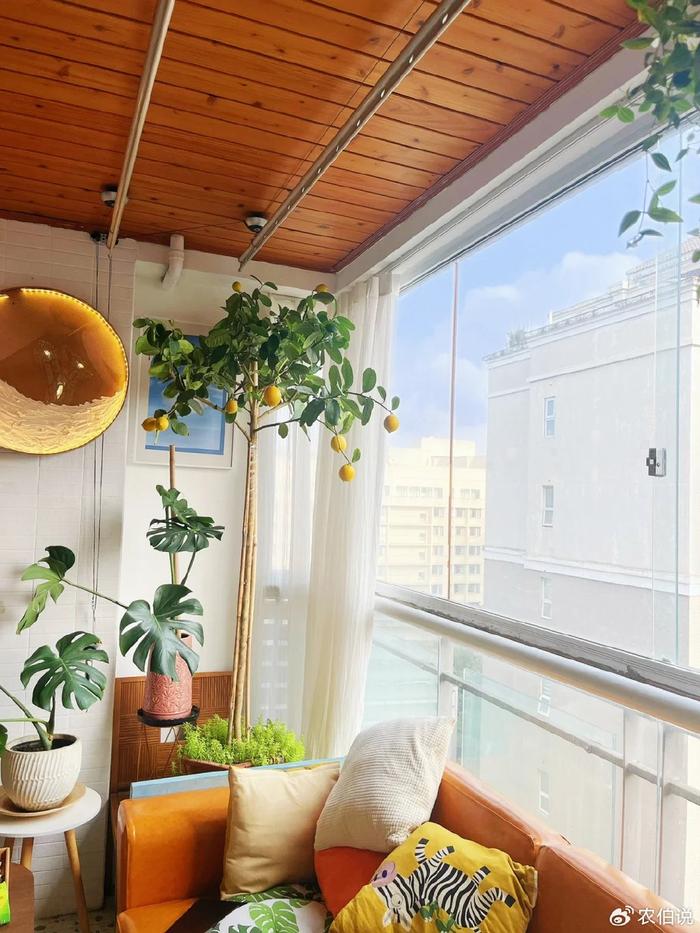 臥室里養花影響睡眠嗎_什么花養在臥室里有助于睡眠_臥室養什么花助眠