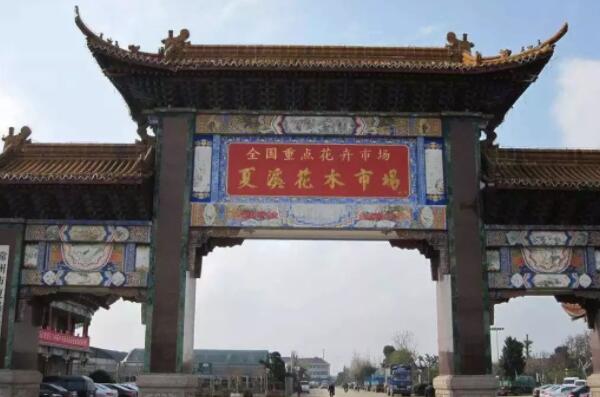 <strong>中國十大花卉批發市場，江蘇上榜兩處，第一是中國最大鮮切花市場(2)</strong>