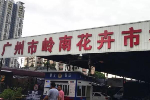 離我最近的花卉批發市場_花卉批發市場一覽_花卉市場批發