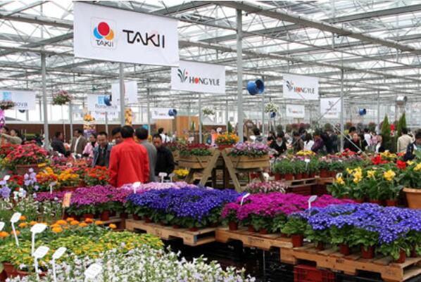 花卉批發市場一覽_花卉市場批發_離我最近的花卉批發市場