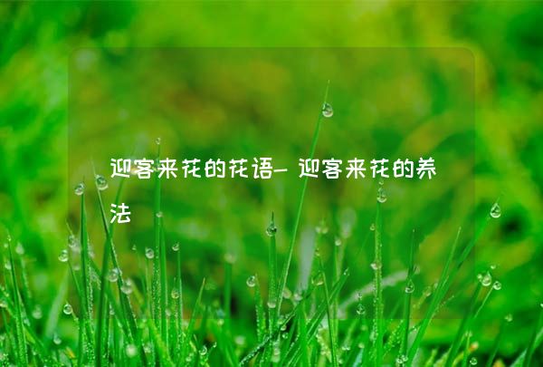 迎客來花的花語-迎客來花的養法