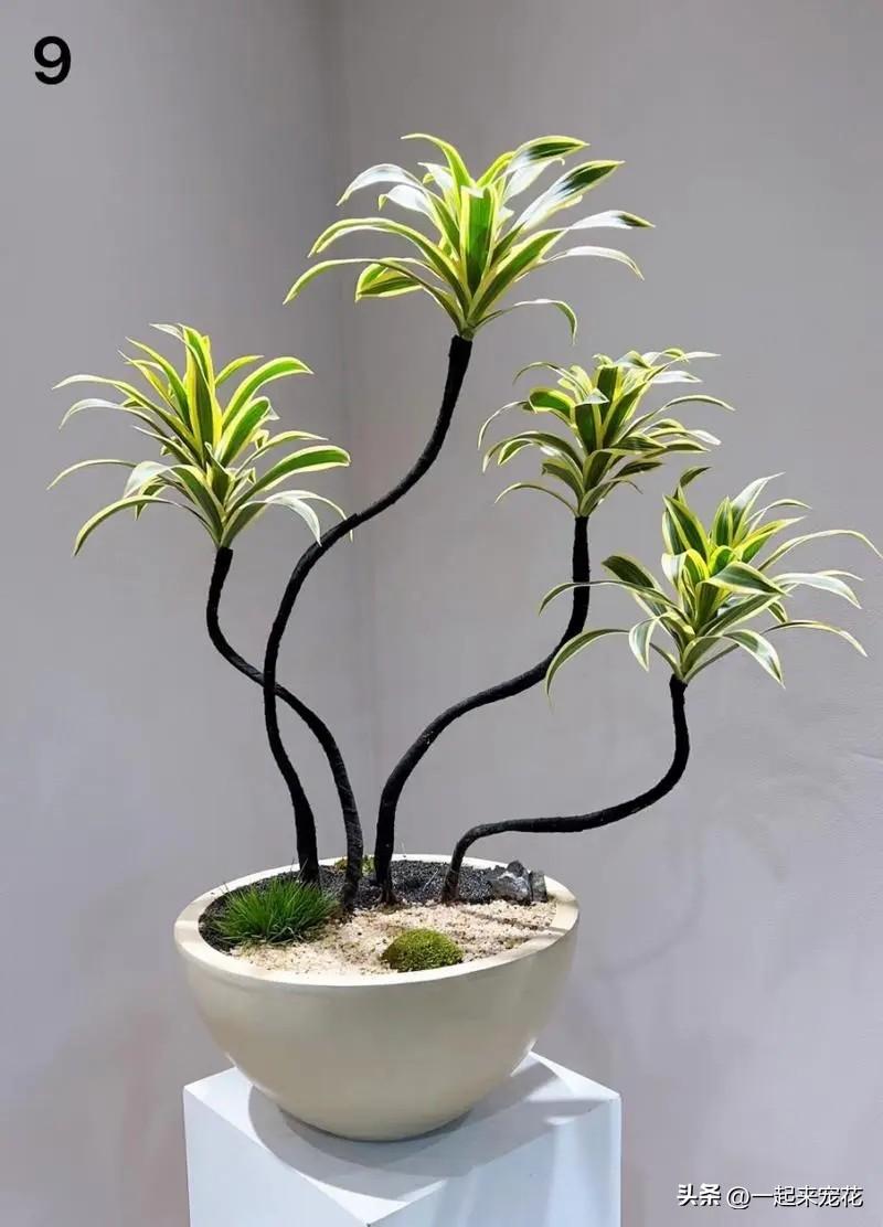 臥室養花可以開空調嗎_臥室養花可以用吡蟲啉嗎_臥室可以養花嗎