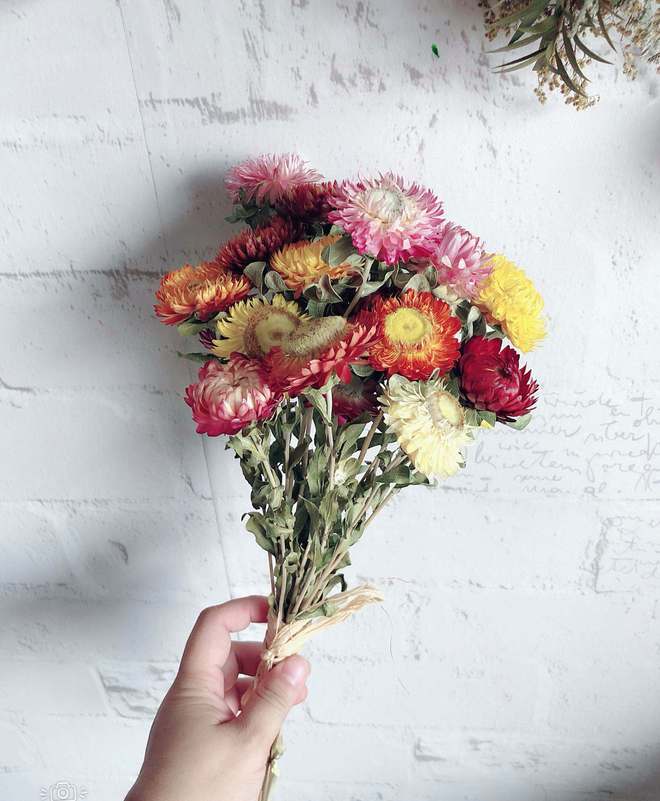 鮮花變干花后怎么保存_鮮花一直放會(huì)變干花嗎_鮮花放干后變成干花