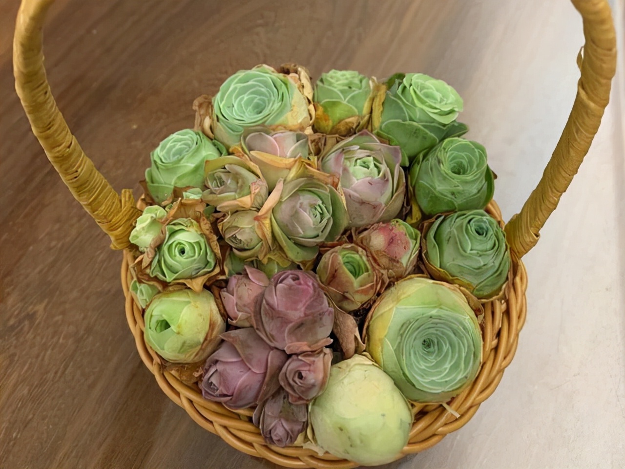 室內(nèi)養(yǎng)植物多肉好嗎_室內(nèi)養(yǎng)植物多肉怎么養(yǎng)_多肉植物室內(nèi)養(yǎng)