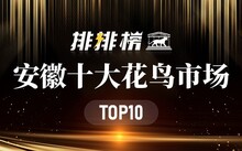成都花鳥市場_成都市場花鳥市場價格_成都市場花鳥市場地址