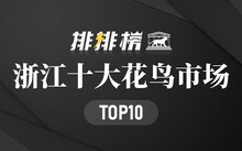 成都市場花鳥市場地址_成都市場花鳥市場價格_成都花鳥市場