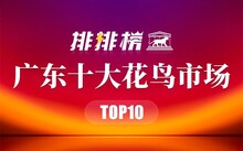 成都市場花鳥市場價格_成都花鳥市場_成都市場花鳥市場地址