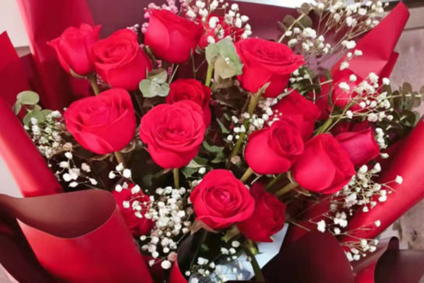 求婚玫瑰花應該送什么顏色_送求婚玫瑰顏色花怎么寫_求婚送什么顏色的玫瑰花