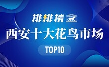 成都市場(chǎng)花鳥(niǎo)市場(chǎng)地址_成都花鳥(niǎo)市場(chǎng)_成都市場(chǎng)花鳥(niǎo)市場(chǎng)價(jià)格