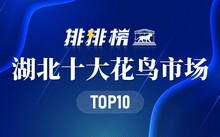 成都市場(chǎng)花鳥(niǎo)市場(chǎng)價(jià)格_成都市場(chǎng)花鳥(niǎo)市場(chǎng)地址_成都花鳥(niǎo)市場(chǎng)