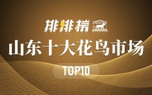 成都市場(chǎng)花鳥(niǎo)市場(chǎng)價(jià)格_成都市場(chǎng)花鳥(niǎo)市場(chǎng)地址_成都花鳥(niǎo)市場(chǎng)