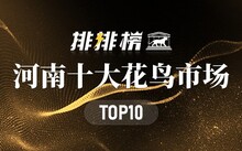 成都花鳥(niǎo)市場(chǎng)_成都市場(chǎng)花鳥(niǎo)市場(chǎng)價(jià)格_成都市場(chǎng)花鳥(niǎo)市場(chǎng)地址