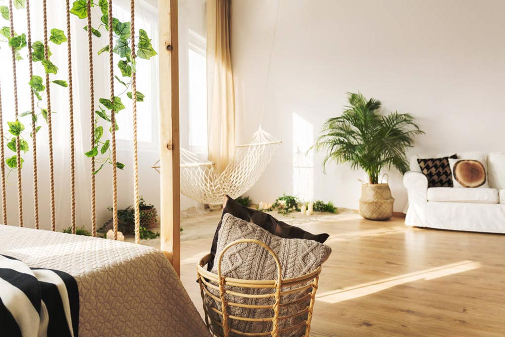 家里養花好嗎_養花家里有小黑飛怎么辦_養花家里有小飛蟲怎么辦