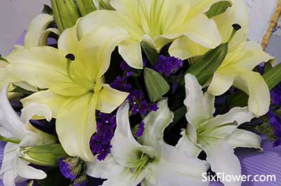 妹妹給姐姐送花送什么花好？