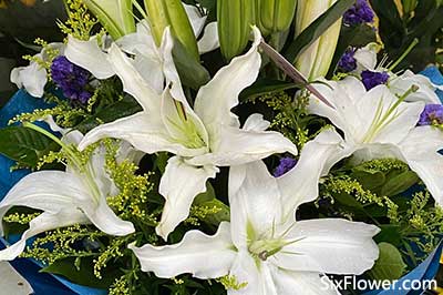 送給姐姐什么花_適合送給姐姐的花_送給姐姐什么花最好