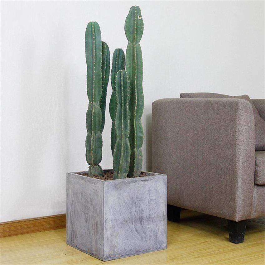 室內養綠植好處_室內養綠植好嗎_室內養什么綠植好