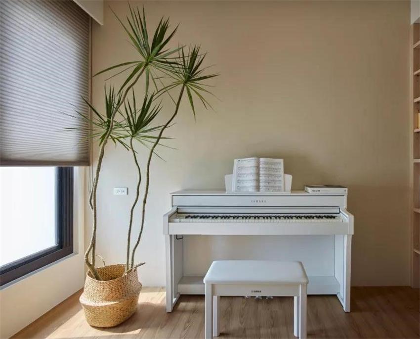 室內養什么綠植好_室內養綠植好嗎_室內養綠植好處