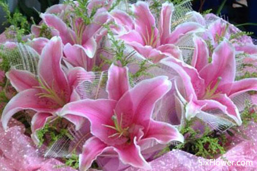 老人祝壽送花，為老人祝壽送什么花好？