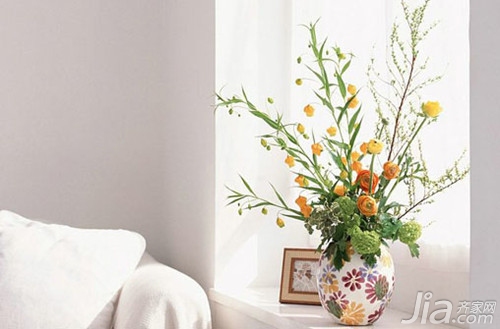 臥室適合養的花_臥室養適合花草的植物_什么花適合在臥室養