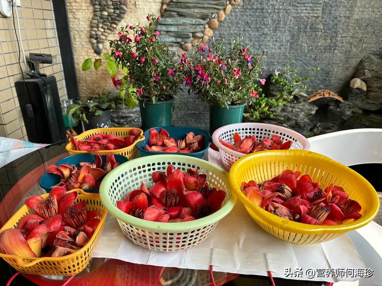 <strong>老人稱它為“英雄花”，又有“祛濕花”之稱，遇見都會撿些帶回家</strong>