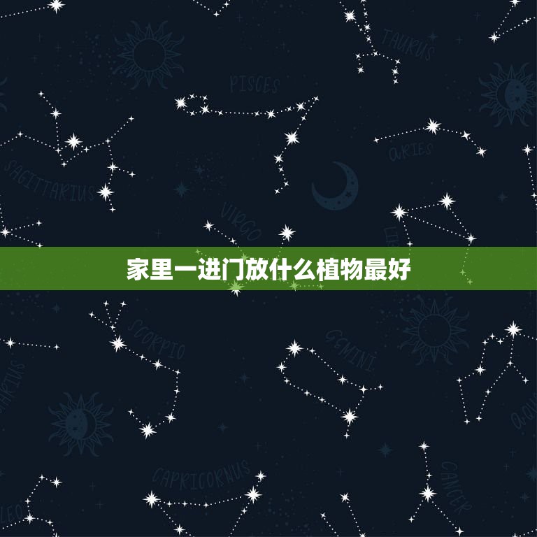 <strong>家里一進門放什么植物最好，家居風水 一進門擺什么植物最好</strong>