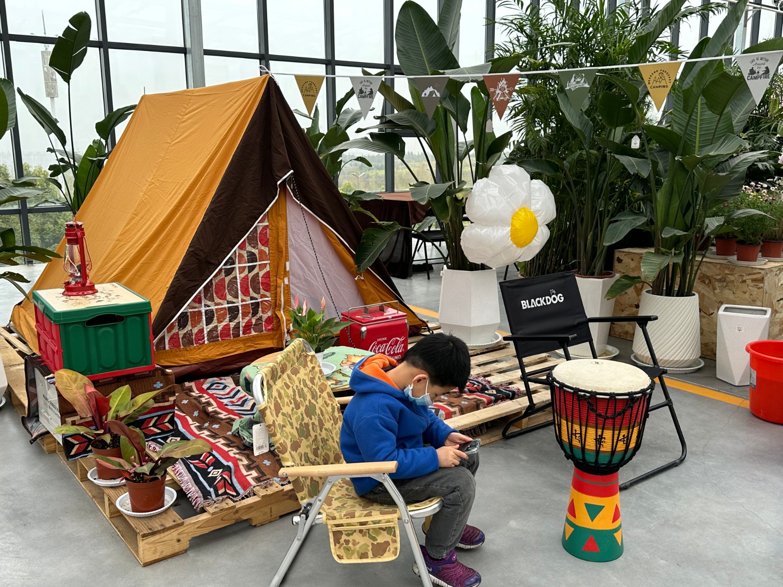 洛陽市花卉市場營業時間_洛陽花卉市場電話號碼_洛陽花卉市場