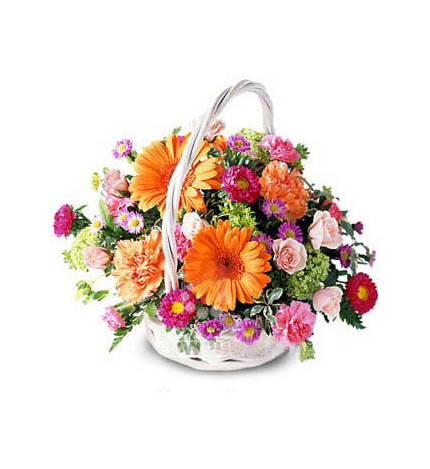 朋友過生日送花可以不_朋友生日可以送花嗎_生日送花朋友可以送玫瑰嗎