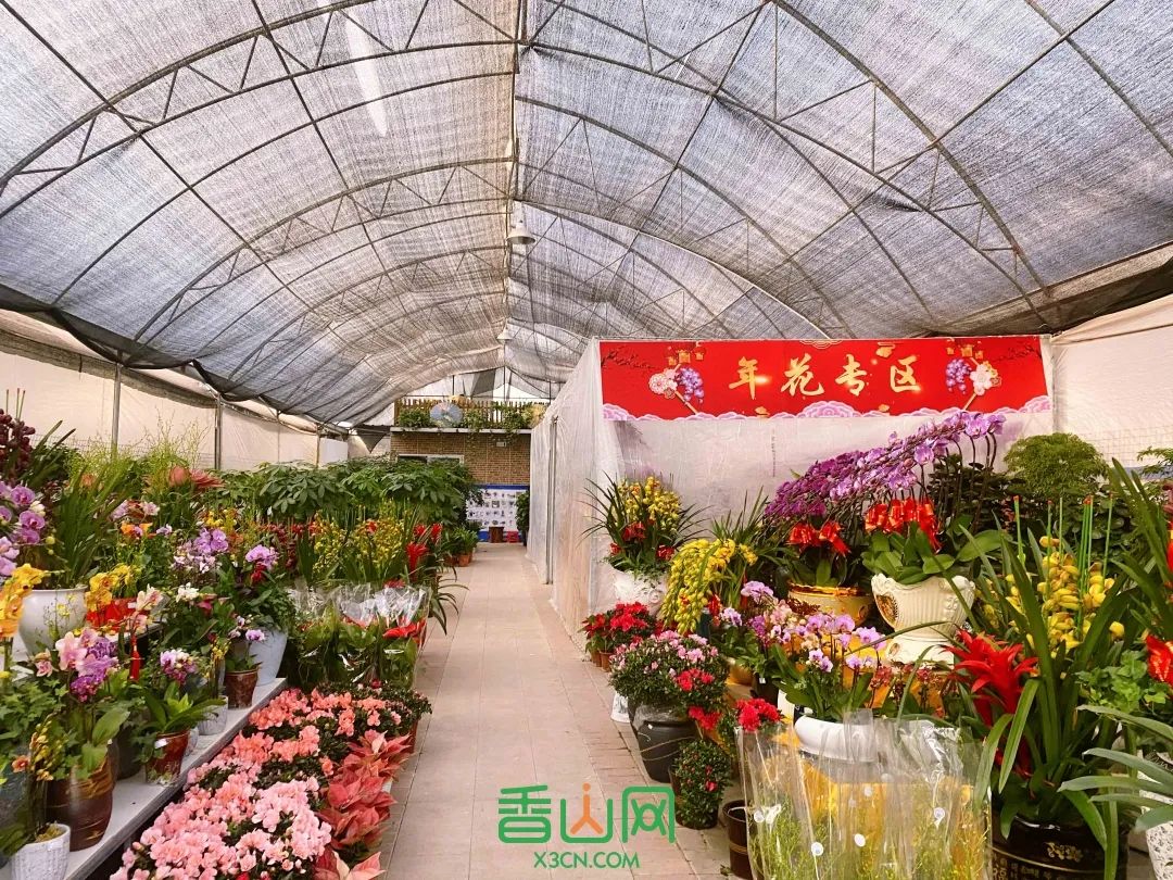 珠海市花卉批發市場_珠海花卉市場批發市場_珠海花卉市場哪里便宜