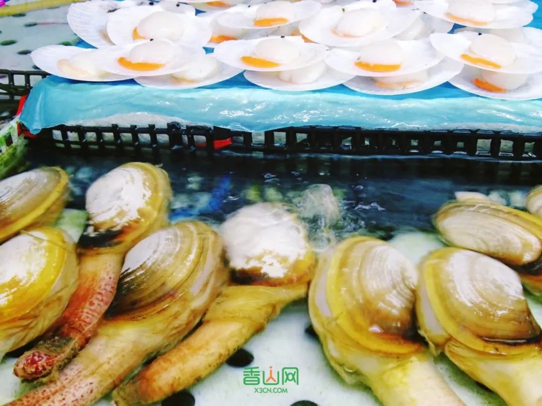 珠海花卉市場批發市場_珠海市花卉批發市場_珠海花卉市場哪里便宜