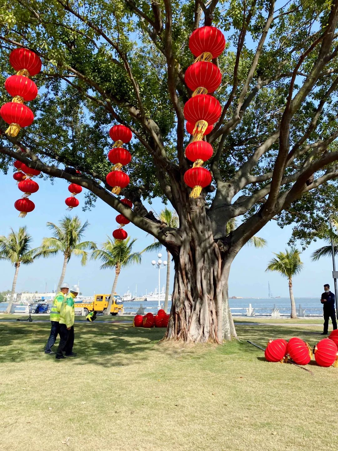 珠海市花卉批發市場_珠海花卉市場哪里便宜_珠海花卉市場批發市場