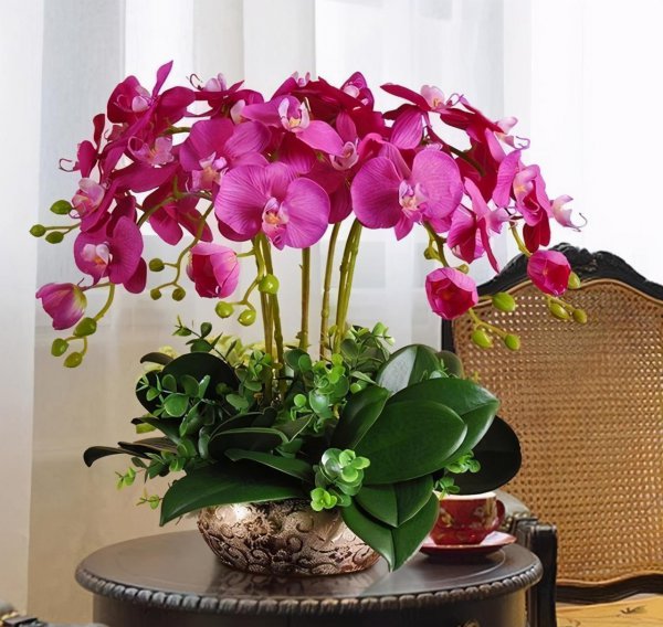 耐熱力強的花卉耐寒力也很強_耐熱的花卉有哪些_耐熱花卉植物