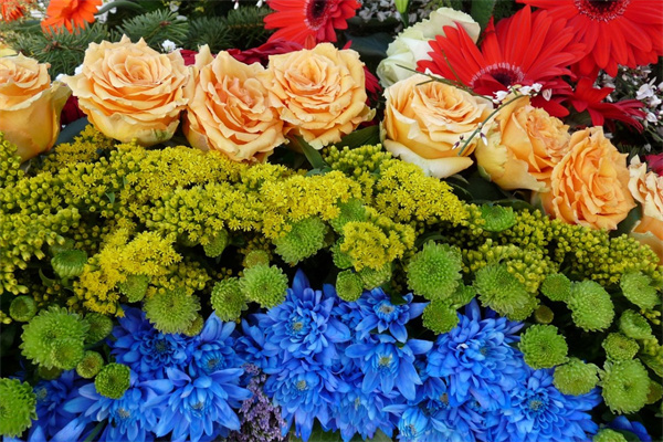 送花多少朵(領(lǐng)證送花多少朵)