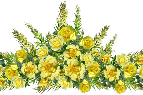 多肉怎么保持顏色(如何保持多肉的色澤)