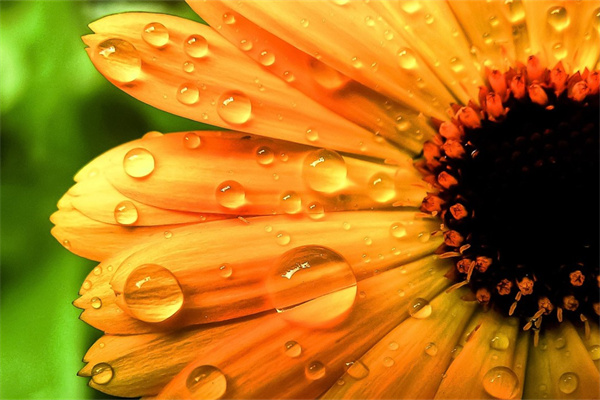 下巴很多肉怎么減(瘦雙下巴的最快方法)