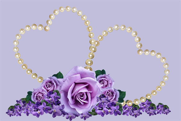 送閨蜜花一般送幾朵(送閨蜜花一般送幾朵合適)