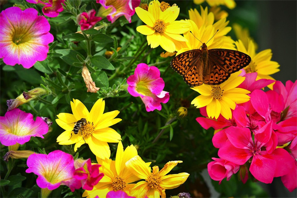 朋友結(jié)婚紀(jì)念日送什么花好(朋友結(jié)婚紀(jì)念日送什么禮物好呢)