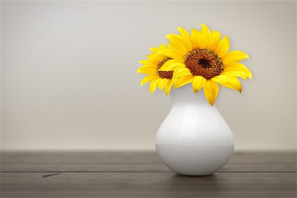 生小孩一般送什么花(生小孩送什么花不會傷身體)