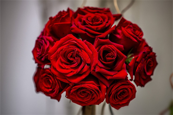 能用的花束(花束還可以包什么)